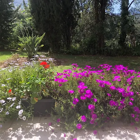 Plein Soleil Mandelieu